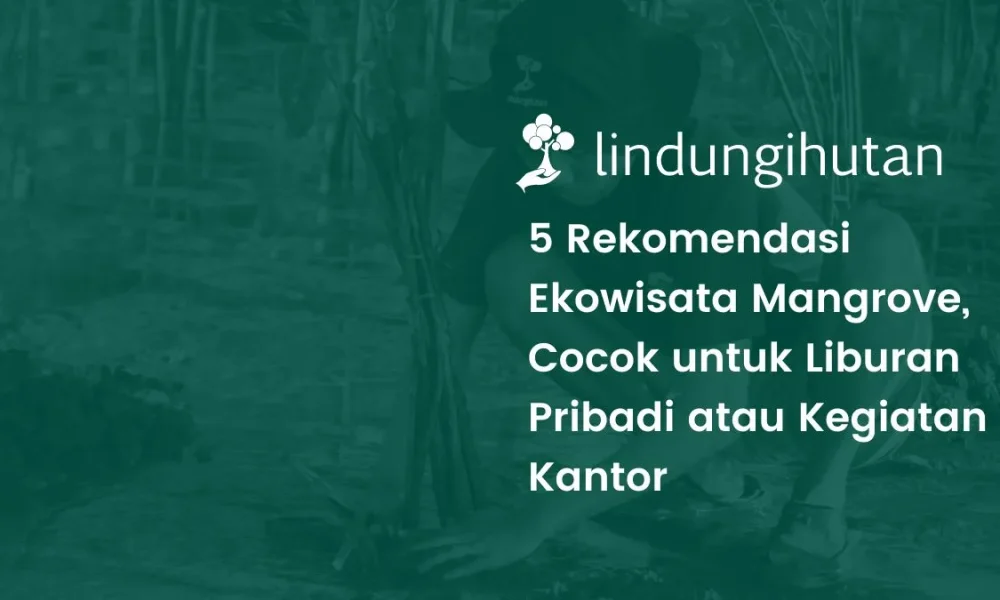 Mangrove Wismatirta: Rahasia Sunrise yang Bikin Hati Tenang di Cilacap
