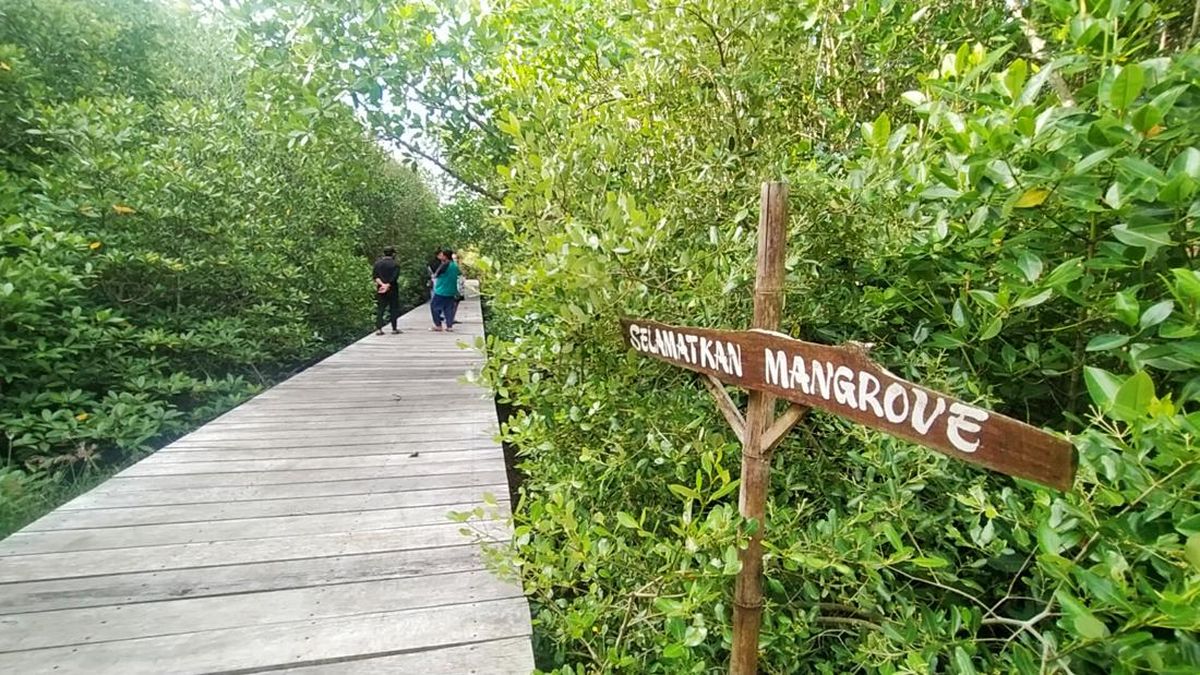 Mangrove Wismatirta: Jantung Hijau yang Menyembuhkan Jiwa di Tengah Cilacap